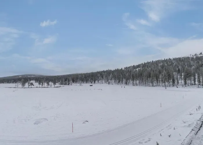 Levin Laf By Interhome 度假居 *